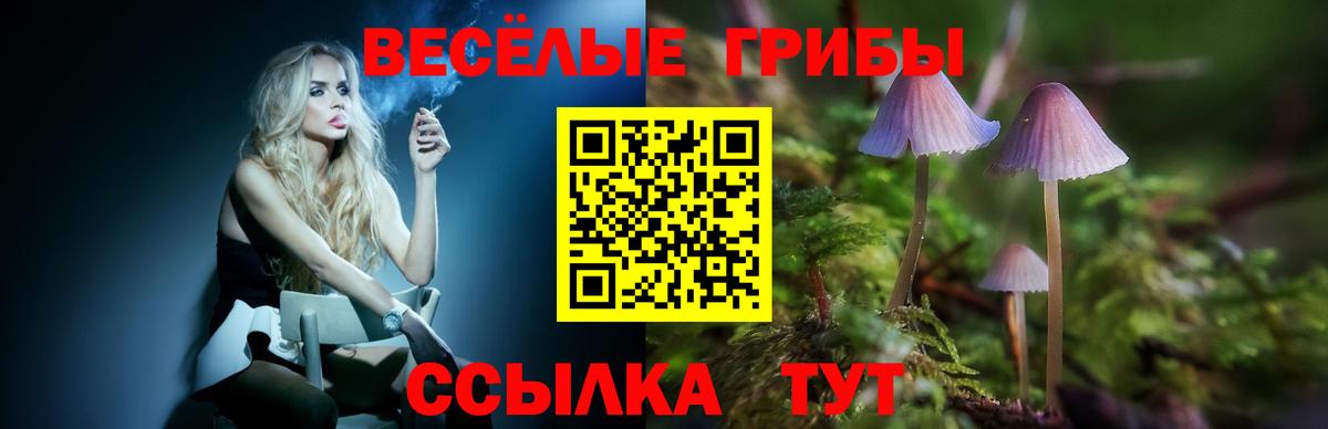 Галлюциногенные грибы Psilocybe Кунгур